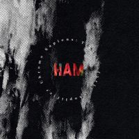 HAM - Chromo Sapiens: T&oacute;nlist Fyrir Shoplifter