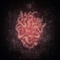 Being of Entropy - Being of Entropy