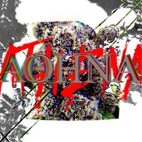 Jedwill - Athena