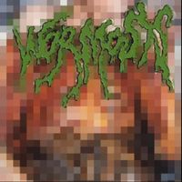 Wormosis - From open flesh&hellip; to fatal wounds