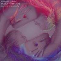 Slow Dancing Society - Meridians Murmur and Sun Makes Sound