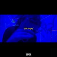 Souza - Sauvage