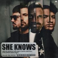 Dimitri Vegas & Like Mike - She Knows