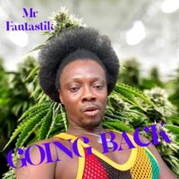 Mr. Fantastik - Going Back