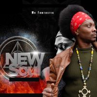Mr. Fantastik - New Soul