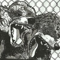 Urochromes - Night Bully