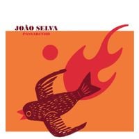 Jo&atilde;o Selva - Passarinho