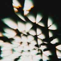 BVDLVD - AISLE 13