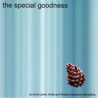 The Special Goodness - At Some Point, Birds and Flowers Became Interesting