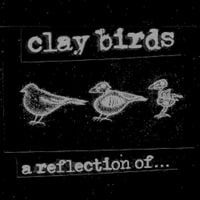Clay Birds - a reflection of...