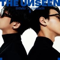 SHOWNU X HYUNGWON - THE UNSEEN