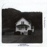 The Microphones - Window: