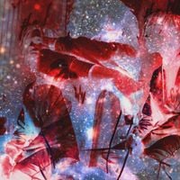 BoofPaxkMooky - Spacepaxk 2