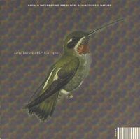 Semiacoustic Nature - Semiacoustic Nature