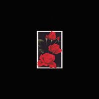 iwamizu - Lonely