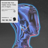 Tensnake - Take Your Time (Do It Right)