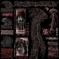 Calsutmoran - Entomopathogenic Syntax