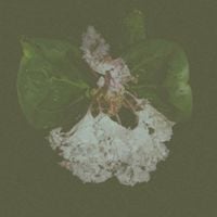Sadness / The Light Is Fading Away - Remembering distant stars