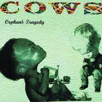 Cows - Orphan's Tragedy