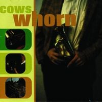 Cows - Whorn