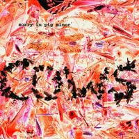 Cows - Sorry in Pig Minor