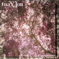 MaXIon - Curvatures