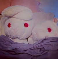 Xiu Xiu - GONE gone GONE Wiieerrd'uh 7​.​77 inches & a Tape 2012​-​2016