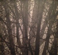 Veritas - Black Dark / Black Cold