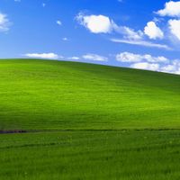 Proloxx - windows breakcore