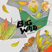 Big Wild - Invincible EP
