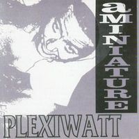aMiniature - Plexiwatt