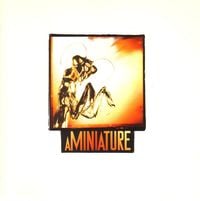 aMiniature - Depth Five Rate Six