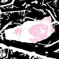 Biome - Fargo