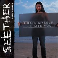 Seether - Disclaimer