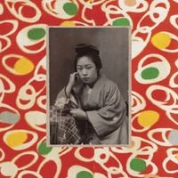 Japan Blues - Sells His Record Collection