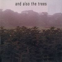 And Also The Trees - And Also the Trees