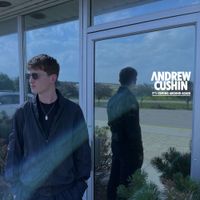 Andrew Cushin - It's Coming Round Again