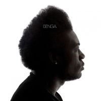 Benga - Pleasure
