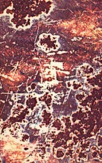 Illusion of Safety - Violence And Geography