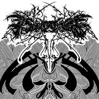Indricothere - II