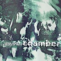 Chamber - Final Shape / In Search of Truth