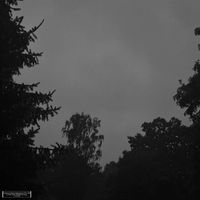 LVCA LEON - G O O D N I G H T