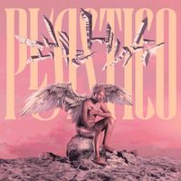 Luiz Lins - Pl&aacute;stico