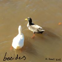 A Small Bird - Besides