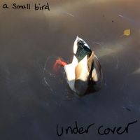 A Small Bird - Under Cover