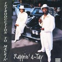 Rappin' 4-Tay - Introduction To Mackin'
