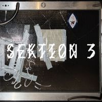 Various Artists - Sektion 3