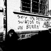 San Pedro Bonfim - Soy un detective subido en un burro