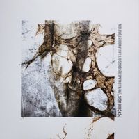 Psychofagist - Songs of Faint Distortion