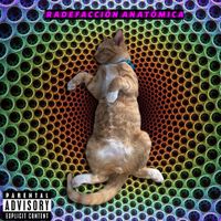 PROLAPSABLE - Radefacci&oacute;n anat&oacute;mica